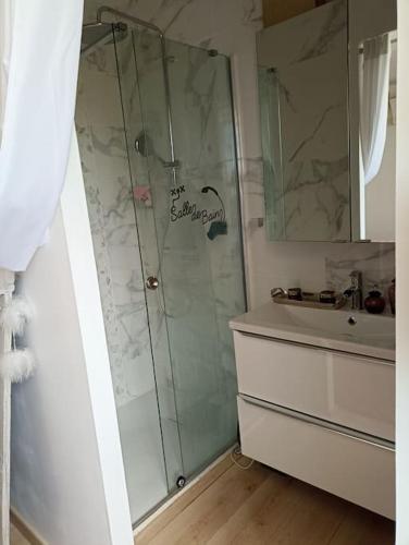 une salle de bain avec douche et lavabo dans l'établissement Maison agréablement chaleureuse, à Albi