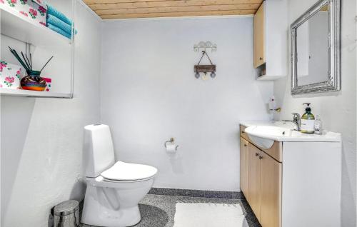 łazienka z toaletą i umywalką w obiekcie 3 Bedroom Gorgeous Home In Pandrup w mieście Pandrup