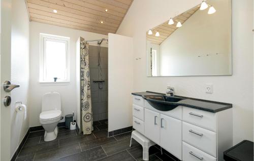 ロッケンにあるAmazing Home In Lkken With 4 Bedrooms, Sauna And Wifiのバスルーム(洗面台、トイレ、鏡付)