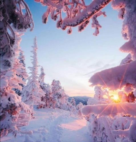 a winter scene with snow covered trees and the sun setting at Penzion Modrý Pavilon in Dolní Malá Úpa