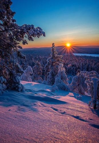 a winter sunset with a snow covered tree on a mountain at Penzion Modrý Pavilon in Dolní Malá Úpa