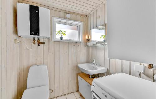 Havrvigにある3 Bedroom Cozy Home In Hvide Sandeの小さなバスルーム(トイレ、シンク付)