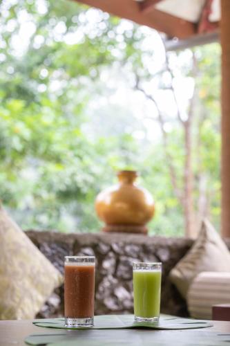 two glasses of juice sitting on a table at Kuru Ganga Villa in Eratnagoda