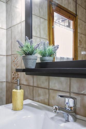 a bathroom sink with a mirror and two potted plants at LA GINESTA 1, Apartaments de munyanya in Taüll