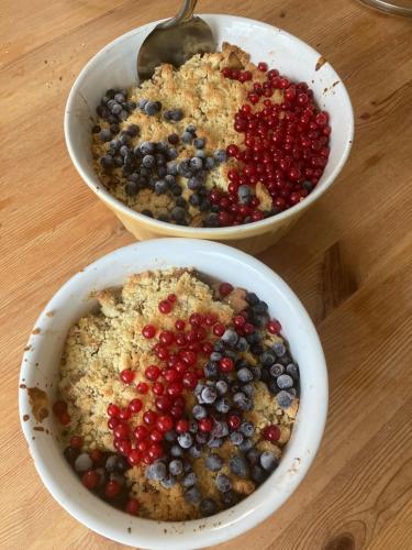 Zwei Schüsseln mit Essen, darunter Beeren, standen auf einem Tisch. in der Unterkunft Przystawy Agroturystyka in Malechowo