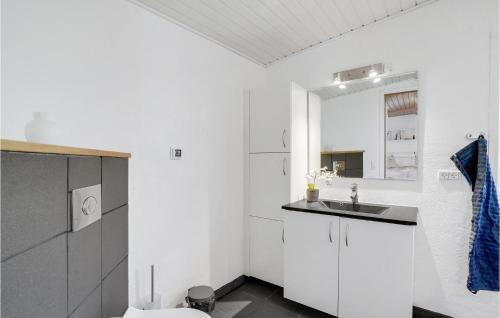 a white bathroom with a sink and a toilet at Awesome Home In Roslev With Kitchen in Roslev