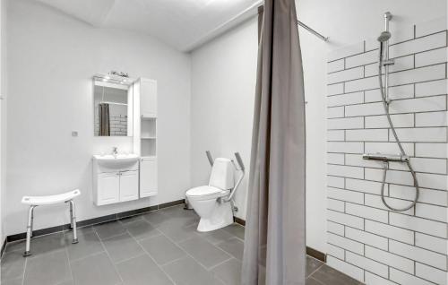 HemmetにあるLnborggaardのバスルーム(トイレ、洗面台、シャワー付)