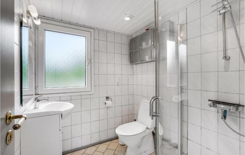 a bathroom with a toilet and a sink and a shower at Nice Home In Hurup Thy With Wifi in Sønder Ydby