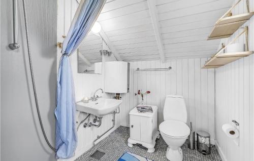 een badkamer met een toilet en een wastafel bij Eja in Søndervig