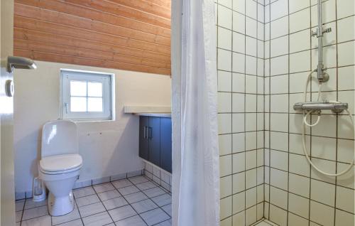 ØhuseにあるPet Friendly Home In Ulfborg With Kitchenのバスルーム(トイレ、シャワー付)
