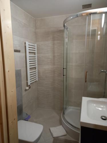 a bathroom with a shower and a toilet and a sink at Apartament 4 osobowy Pasternik in Małe Ciche