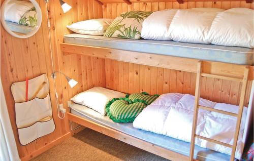 Zimmer mit 3 Etagenbetten in einer Hütte in der Unterkunft Stunning Home In Bjert With Kitchen in Sønder Bjert