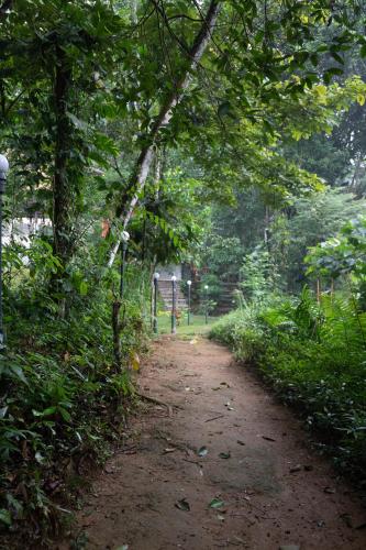 a dirt road in the middle of a forest at Kuru Ganga Villa in Eratnagoda