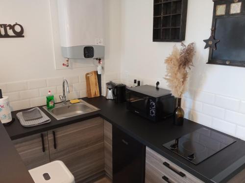 un comptoir de cuisine avec un évier et un micro-ondes dans l'établissement Comme à la Maison, à Cormeilles