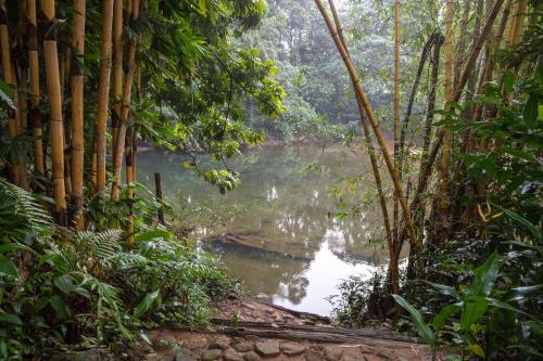 a river in the middle of a jungle with trees at Kuru Ganga Villa in Eratnagoda