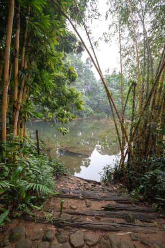 a river in the middle of a jungle with trees at Kuru Ganga Villa in Eratnagoda