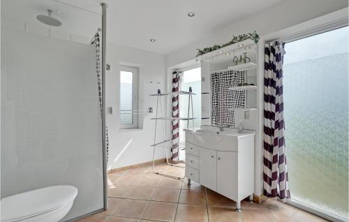 y baño con aseo, lavabo y ducha. en Amazing Home In Sydals With 3 Bedrooms And Wifi, en Høruphav