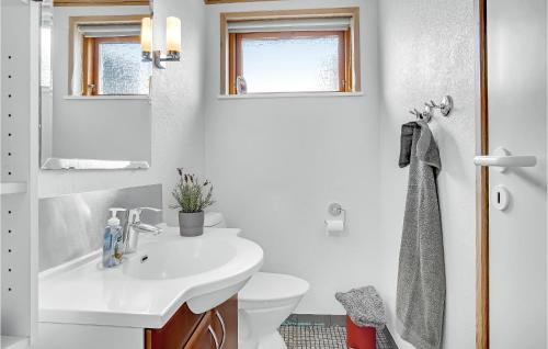 Koupelna v ubytování Beautiful Home In Hjrring With Wifi