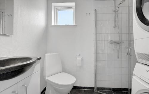 a bathroom with a toilet and a sink and a shower at 3 Bedroom Nice Home In Hasle in Tofte