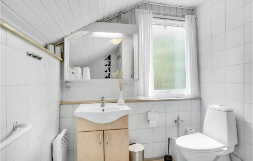 ホにある1 Bedroom Nice Home In Blvandのバスルーム(洗面台、トイレ、鏡付)