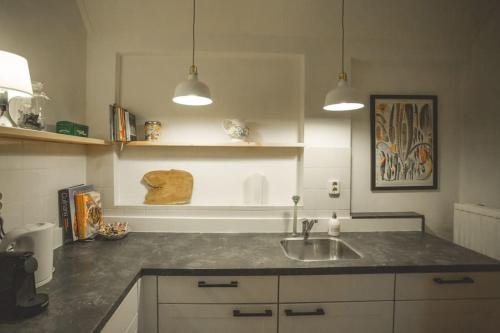 a kitchen with a sink and a counter top at Retreat midden op de Veluwe -ingang Park 1 km in Hoenderloo