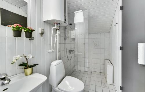 a white bathroom with a toilet and a sink at Amazing Home In Hemmet With Kitchen in Falen