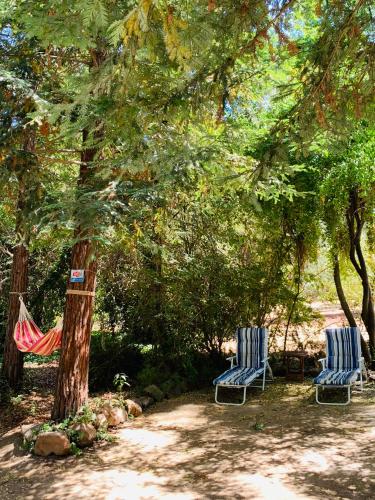 two blue chairs and a hammock under a tree at KURALEMU Casa de Campo in Curacaví