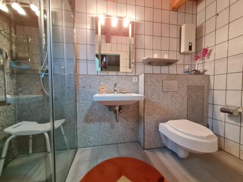 a bathroom with a toilet and a sink and a shower at Ferienhaus Frähmke in Wyk auf Föhr