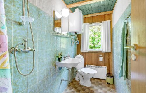 Sindrupにある2 Bedroom Gorgeous Home In Hurup Thyのバスルーム(トイレ、洗面台、シャワー付)