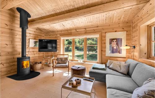 Televisyen dan/atau pusat hiburan di Cozy Home In Ulfborg With Kitchen