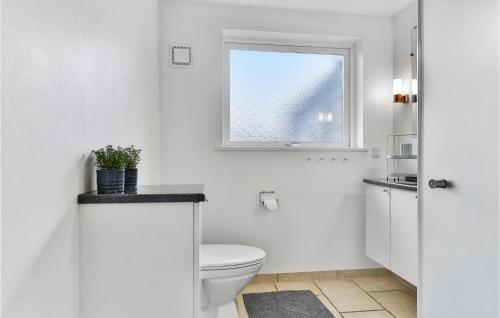 Asserballeskovにある3 Bedroom Lovely Home In Augustenborgの白いバスルーム(トイレ、窓付)