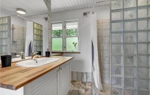 La salle de bains est pourvue d'un lavabo et d'un miroir. dans l'établissement Amazing Home In Eg With Kitchen, à Egå