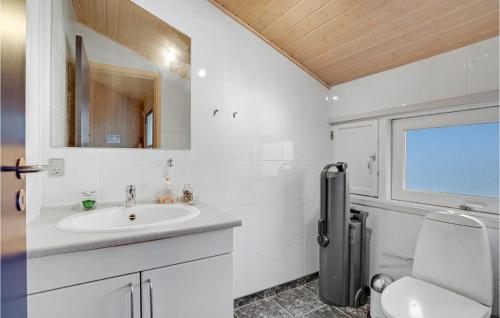a bathroom with a sink and a toilet and a mirror at Holiday Home Tingodden Hvide Sande Iv in Hvide Sande