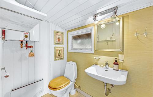 Bjerregårdにある2 Bedroom Cozy Home In Hvide Sandeの小さなバスルーム(トイレ、シンク付)