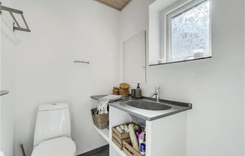 een badkamer met een wastafel en een toilet bij Nice Home In Billund With Kitchen in Billund