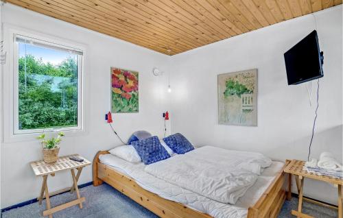 Schlafzimmer mit einem Bett und einem Flachbild-TV in der Unterkunft Beautiful Home In Hejls With Wifi in Hejls