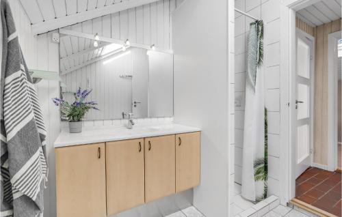 uma casa de banho com um lavatório e um espelho em 3 Bedroom Amazing Home In Rm em Havneby