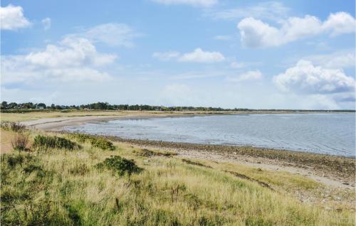 a beach with some grass and the water at 3 Bedroom Lovely Home In Rømø in Havneby