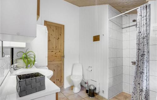 a white bathroom with a toilet and a shower at Gorgeous Home In Fjerritslev With Wifi in Torup Strand