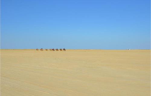 a group of animals walking in the desert at 2 Bedroom Lovely Home In Rømø in Rømø Kirkeby