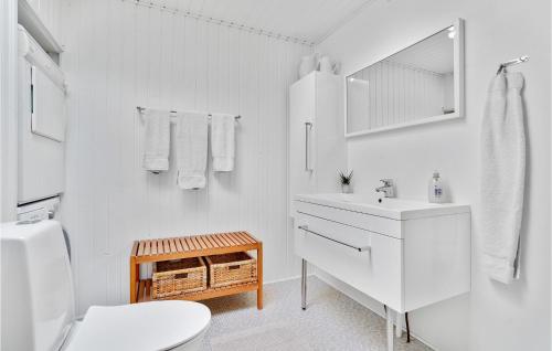 Hejlsにある3 Bedroom Awesome Home In Hejlsの白いバスルーム(洗面台、トイレ付)