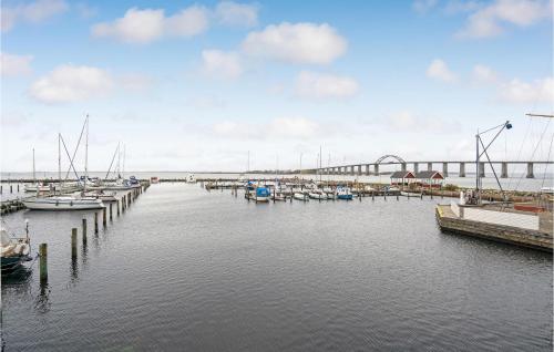 a group of boats docked at a dock in the water at Stunning Apartment In Rudkøbing in Rudkøbing
