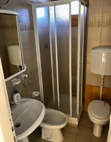 a bathroom with a sink and a toilet and a shower at Tonale 80 in Passo del Tonale