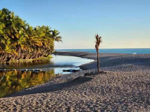 a palm tree on a sandy beach next to the ocean at Beachfront Apartment, Quiet 4 Beds, 1 Bath, AC, Wi-Fi, Hot Water, in Paraiso near Los Patos in Paraíso