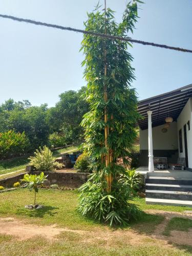 Jardín al aire libre en FENDI eco lodge