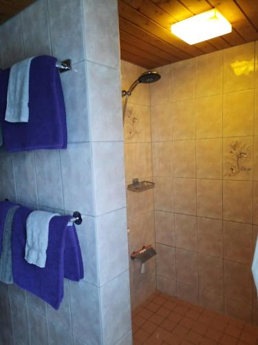 Ένα μπάνιο στο Vreni`s Ferienwohnung