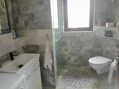 uma casa de banho com um chuveiro, um WC e um lavatório. em POD RÓŻĄ em Kasina Wielka