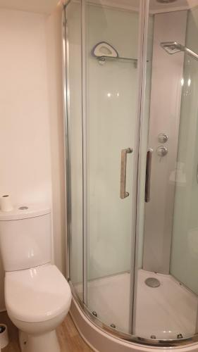 a bathroom with a toilet and a glass shower at Studio meublé et équipé in Ingré