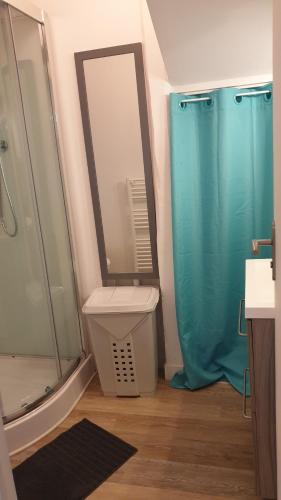 a bathroom with a shower and a sink and a mirror at Studio meublé et équipé in Ingré