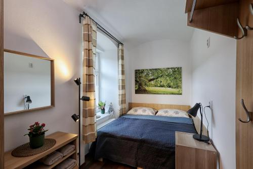 a small bedroom with a bed and a window at Apartmány U Aloise in Dolní Morava
